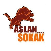 aslansokakcom